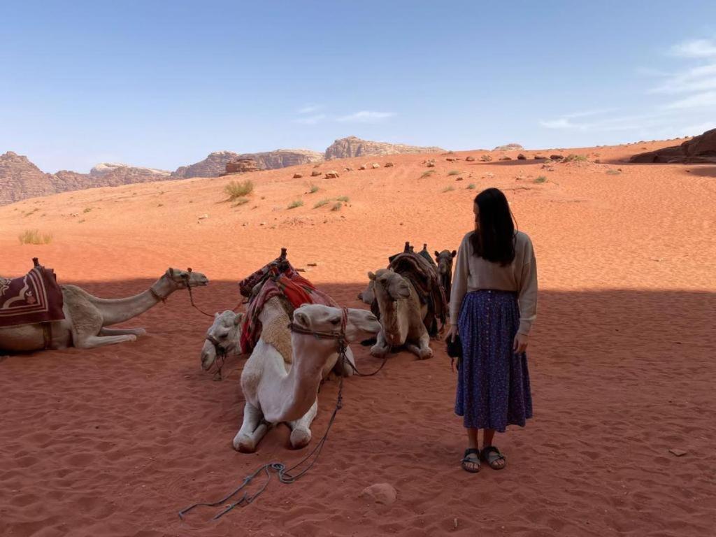 Mojo Camp, Wadi Rum Eksteriør bilde