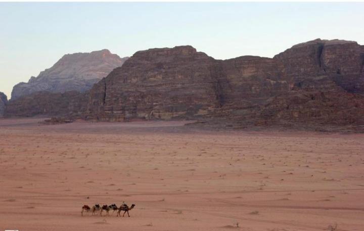 Mojo Camp, Wadi Rum Eksteriør bilde